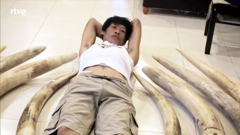 La Noche Temática - Invertir en la extinción - Comienzo - La noche temática | Ver