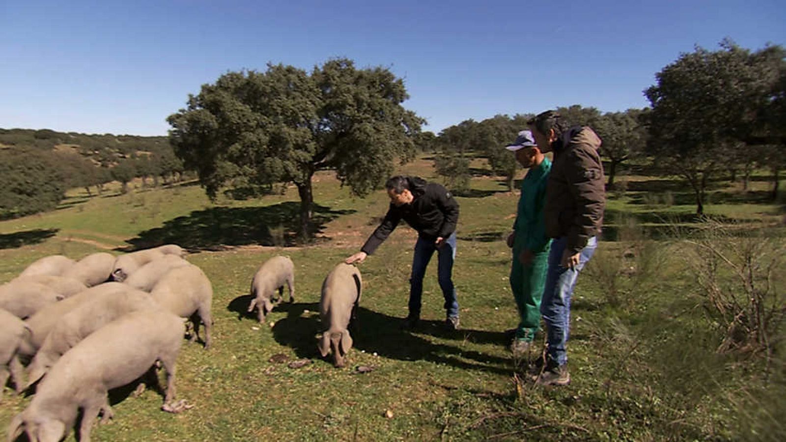 Cocina2 - T2 - Extremadura: el cerdo - ver ahora