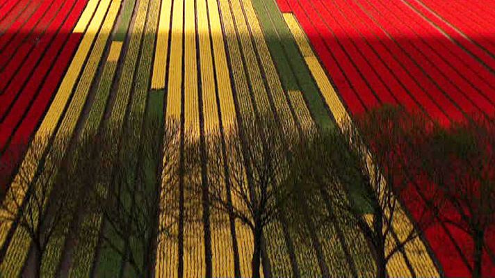 Documaster - Home: historia de un viaje - Promo