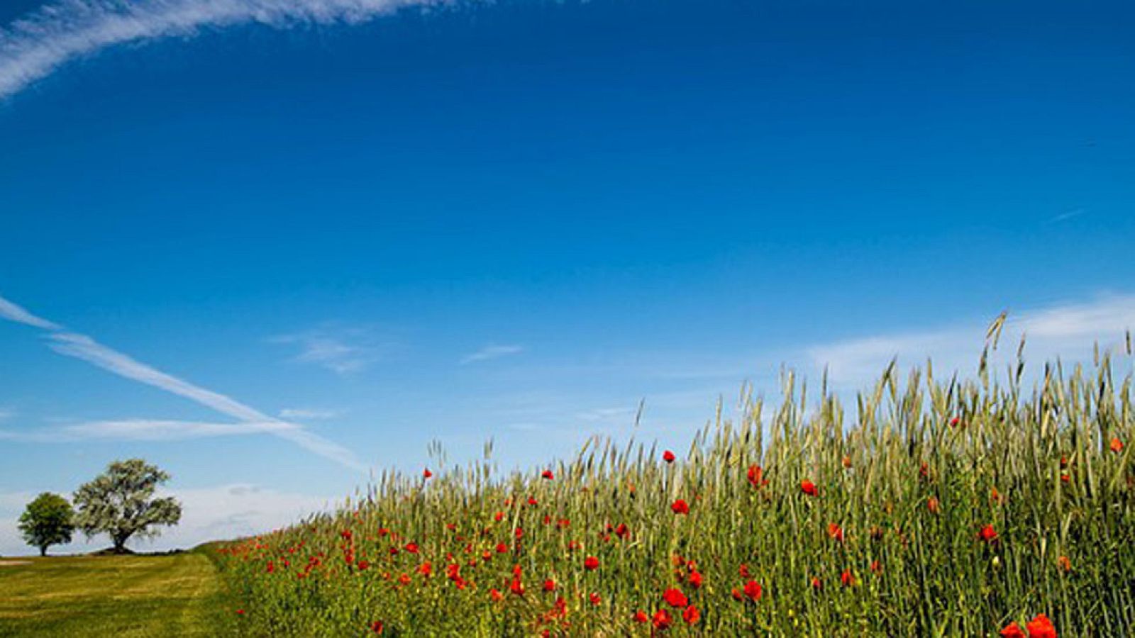 Mañana, tormentas en Galicia y Cordillera Cantábrica, donde hará más calor