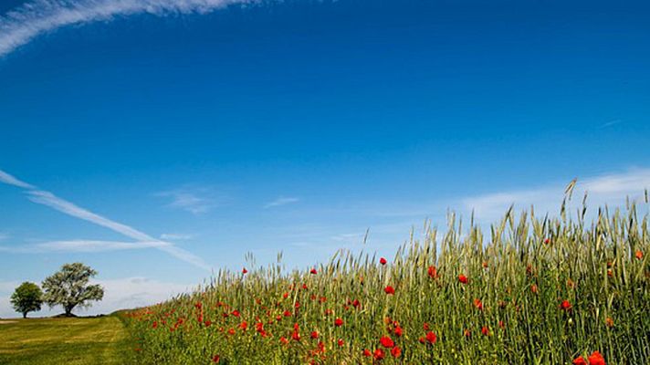 El tiempo - Mañana, tormentas en Galicia y Cordillera Cantábrica, donde hará más calor