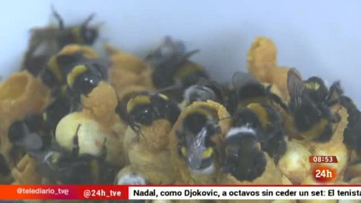 Europa - Europa 2015 - Reportaje - Centro Común de Investigación de la Comisión Europea JRC - 29/05/2015