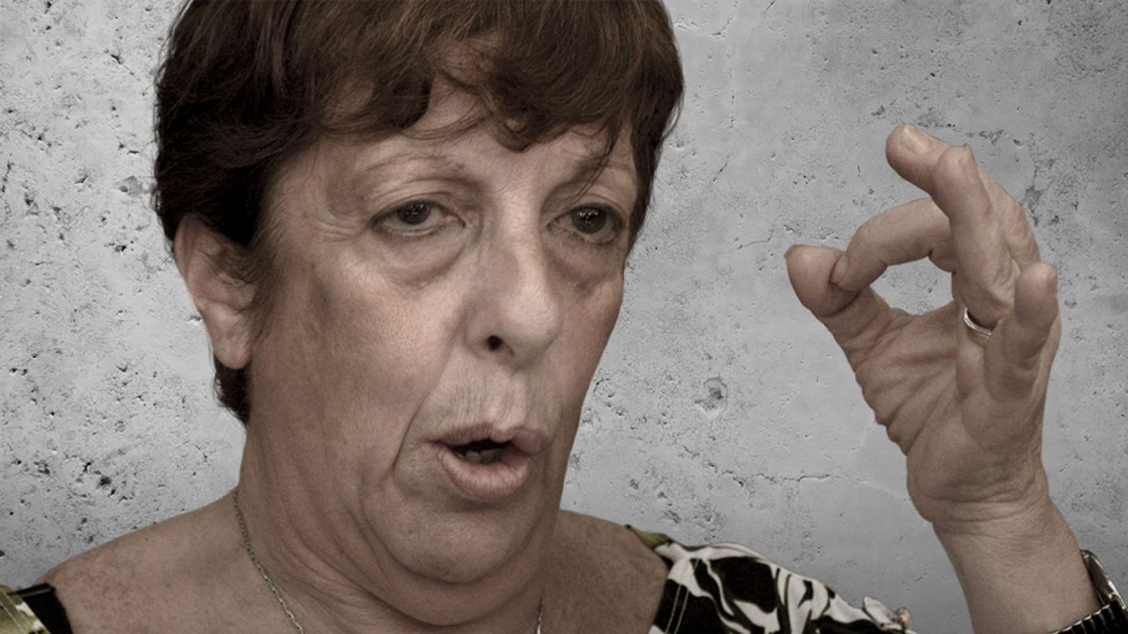 Quién es quién en el caso Nisman - Viviana Fein. La fiscal. | Ver