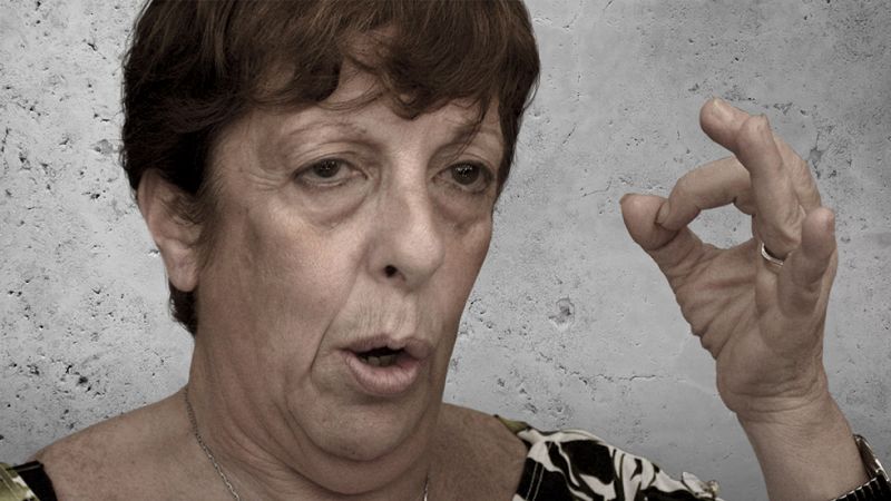Quién es quién en el caso Nisman - Viviana Fein. La fiscal. | Ver