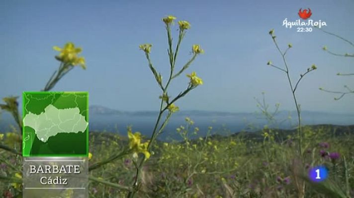 Aquí la Tierra - Aquí la Tierra-El sorprendente Palomar de la Breña