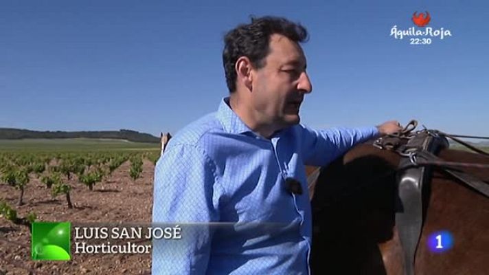 Aquí la Tierra - Arando la tierra con caballos