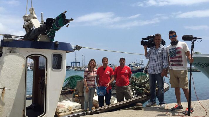 Aquí la Tierra - Cómo se pesca la concha fina