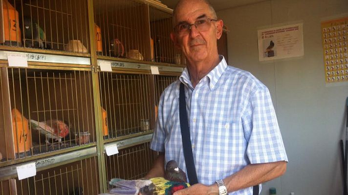 Aquí la Tierra - Colombicultura de colores