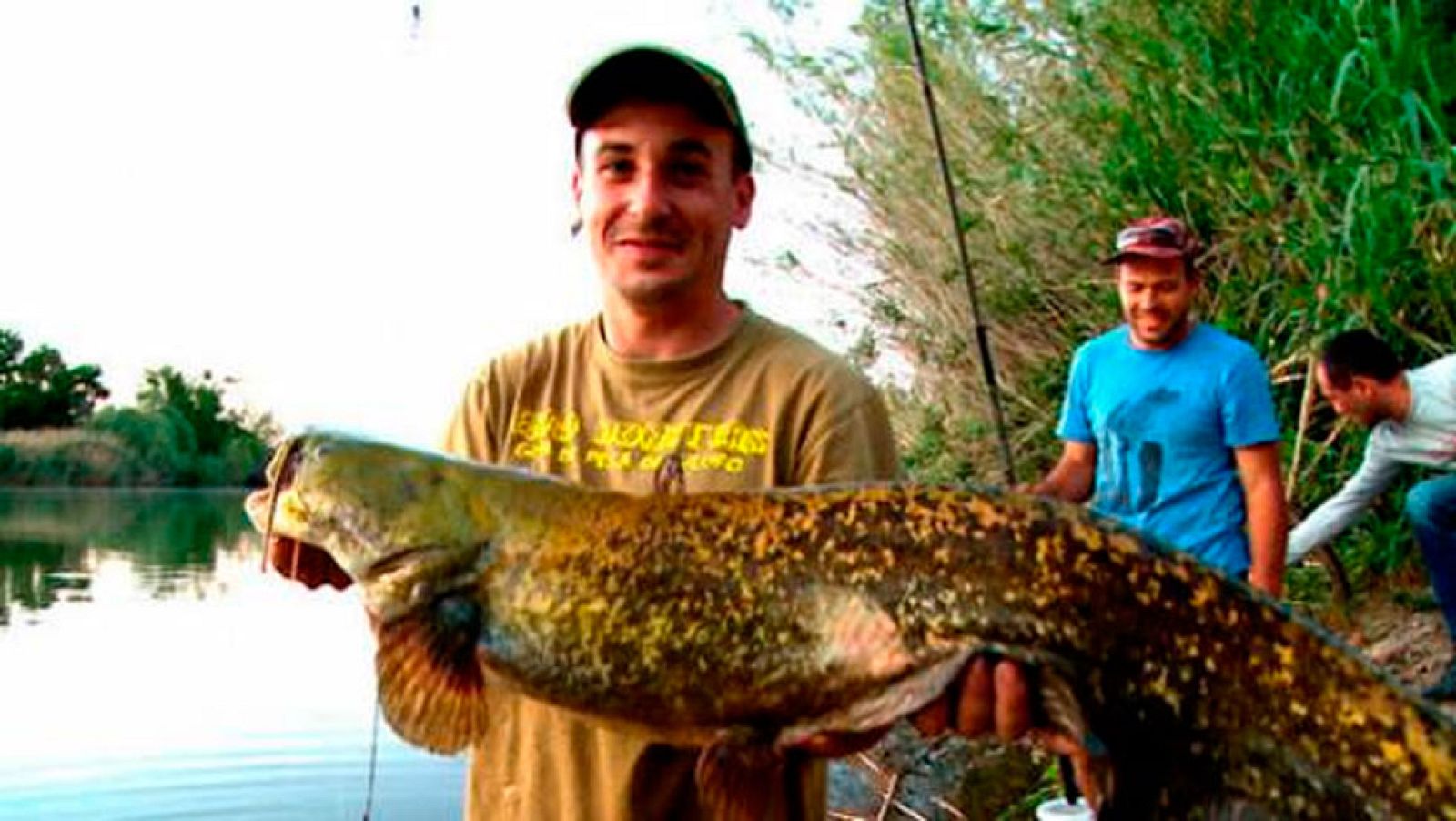 Repor - Invasión animal - Avance