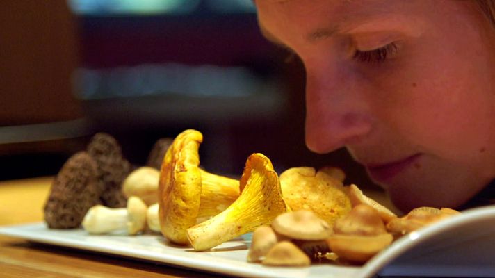 Al punto - Setas: del campo al postre