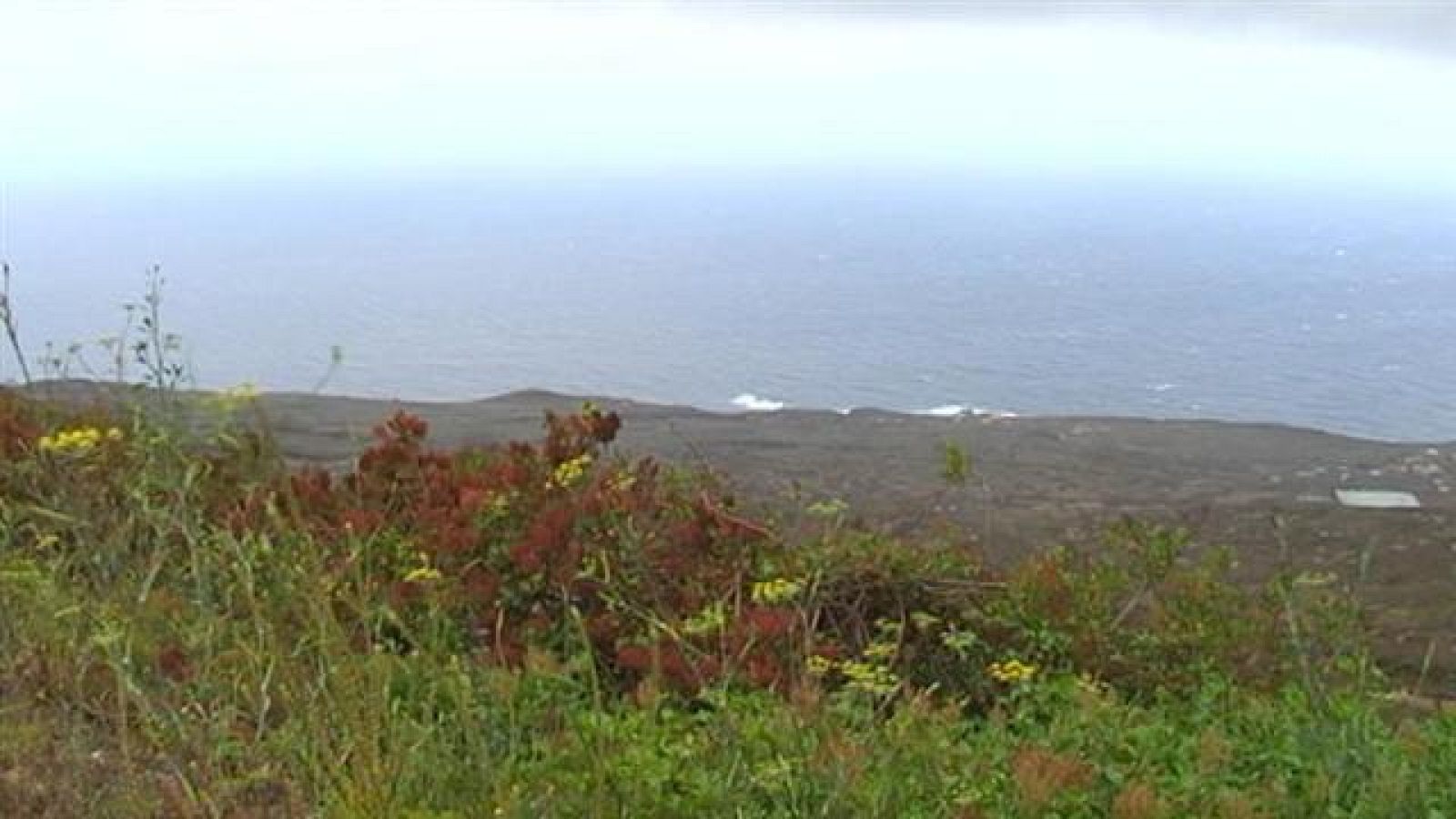 El tiempo en Canarias - 05/06/15 | Ver