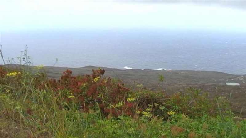 El tiempo en Canarias - 05/06/15 | Ver