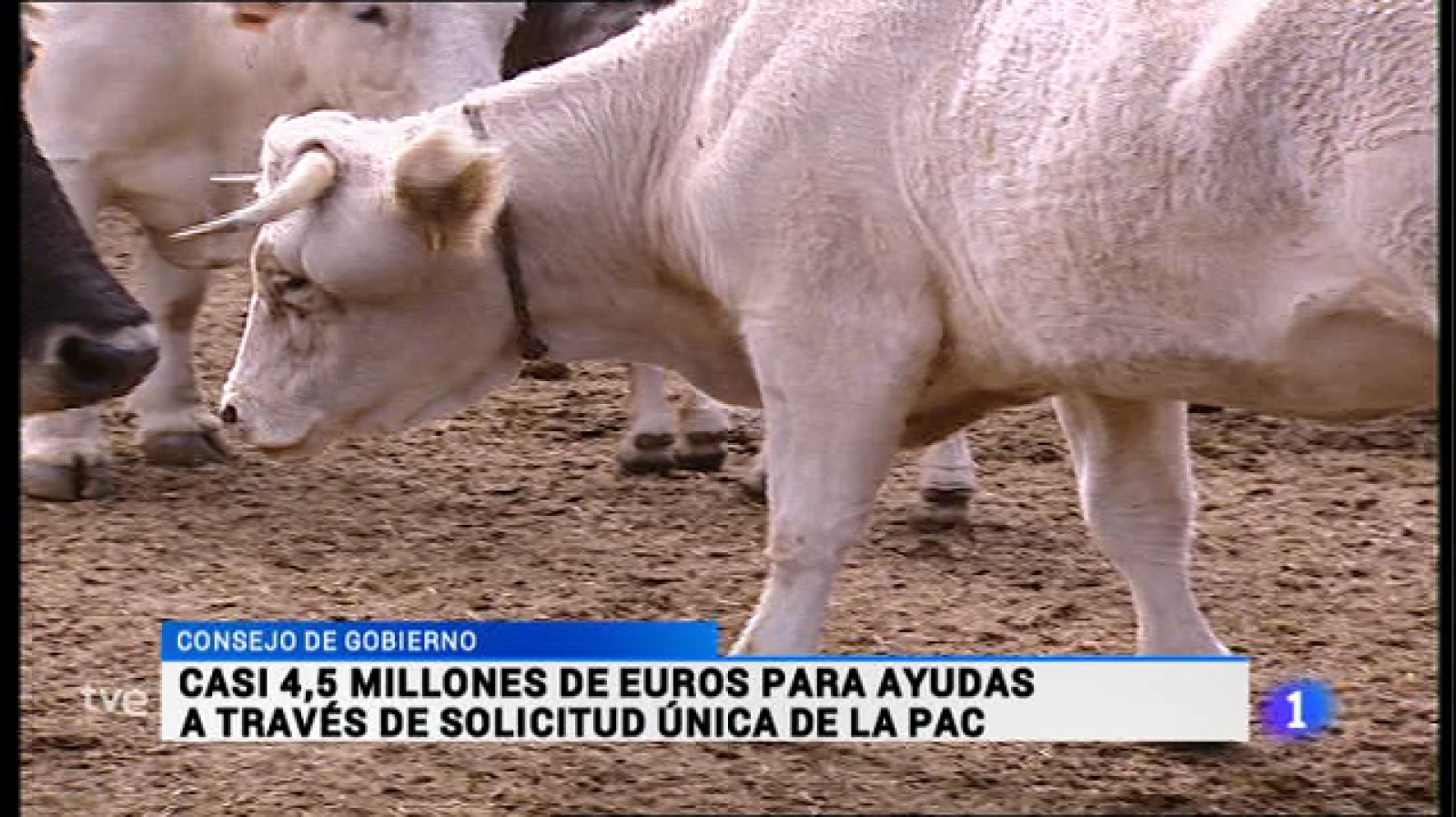 Informativo Telerioja - 05/06/15