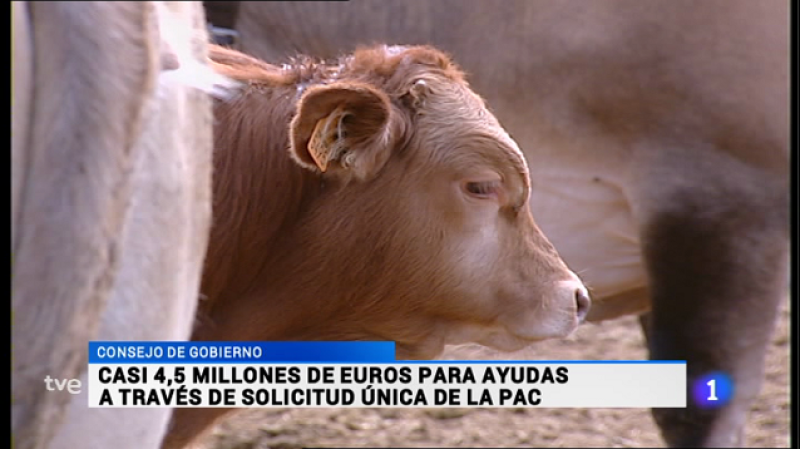 Informativo Telerioja 2 - 05/06/15