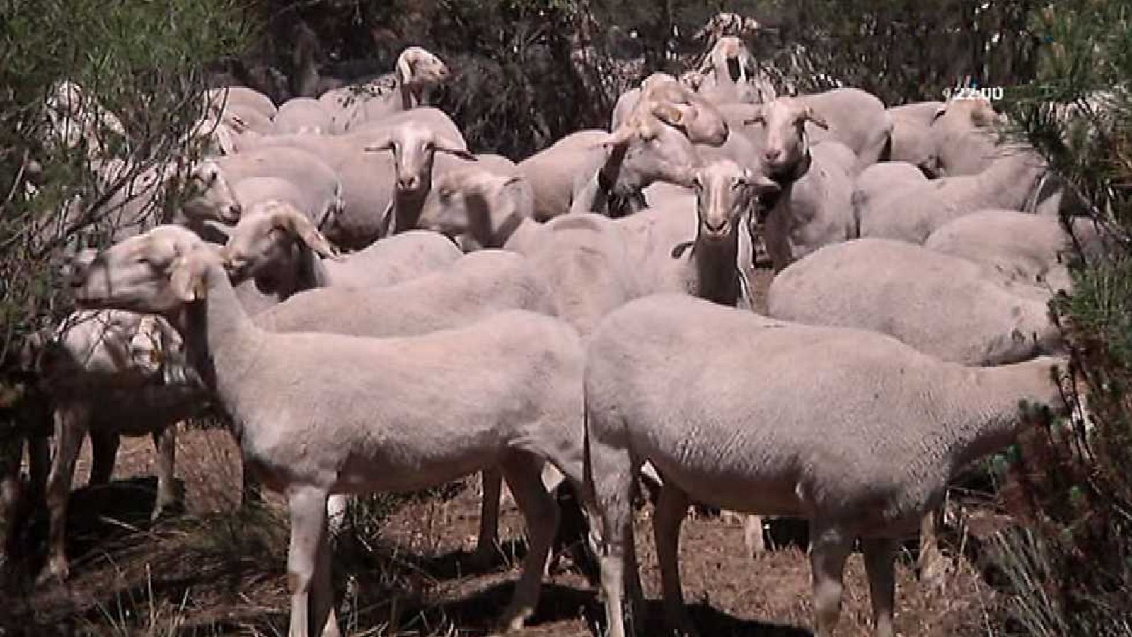 Aquí la Tierra - 05/06/15 - ver ahora