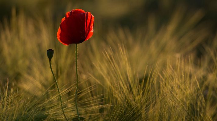 El tiempo - Temperaturas en notable descenso en el Cantábrico oriental