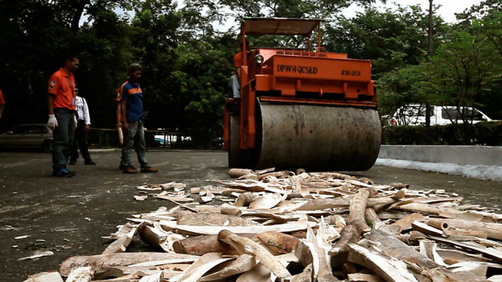 La noche temática - Invertir en la extinción - ver ahora