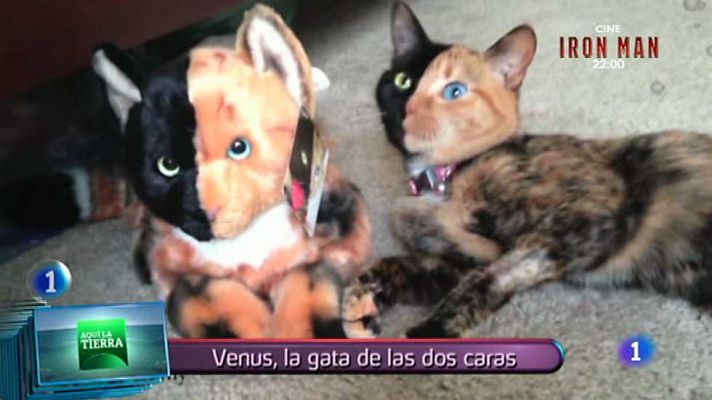 Lo que hay que ver ... - Lo que hay que ver - 07/06/15