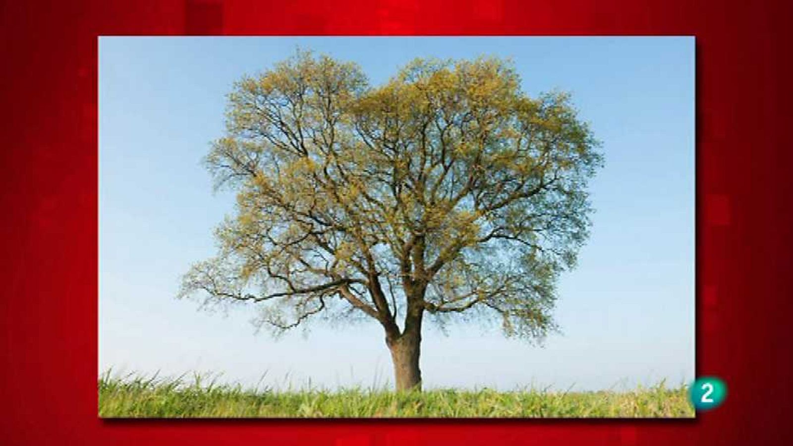 Saber y ganar. Edición Fin de semana - 07/06/15 - Ver ahora