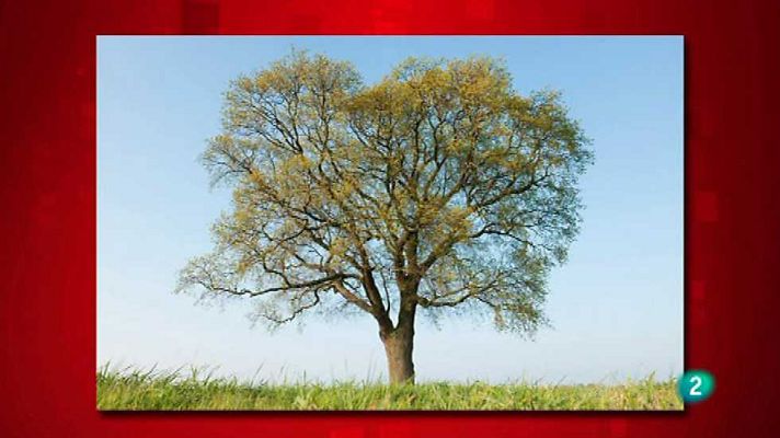 Saber y ganar - Saber y ganar. Edición Fin de semana - 07/06/15