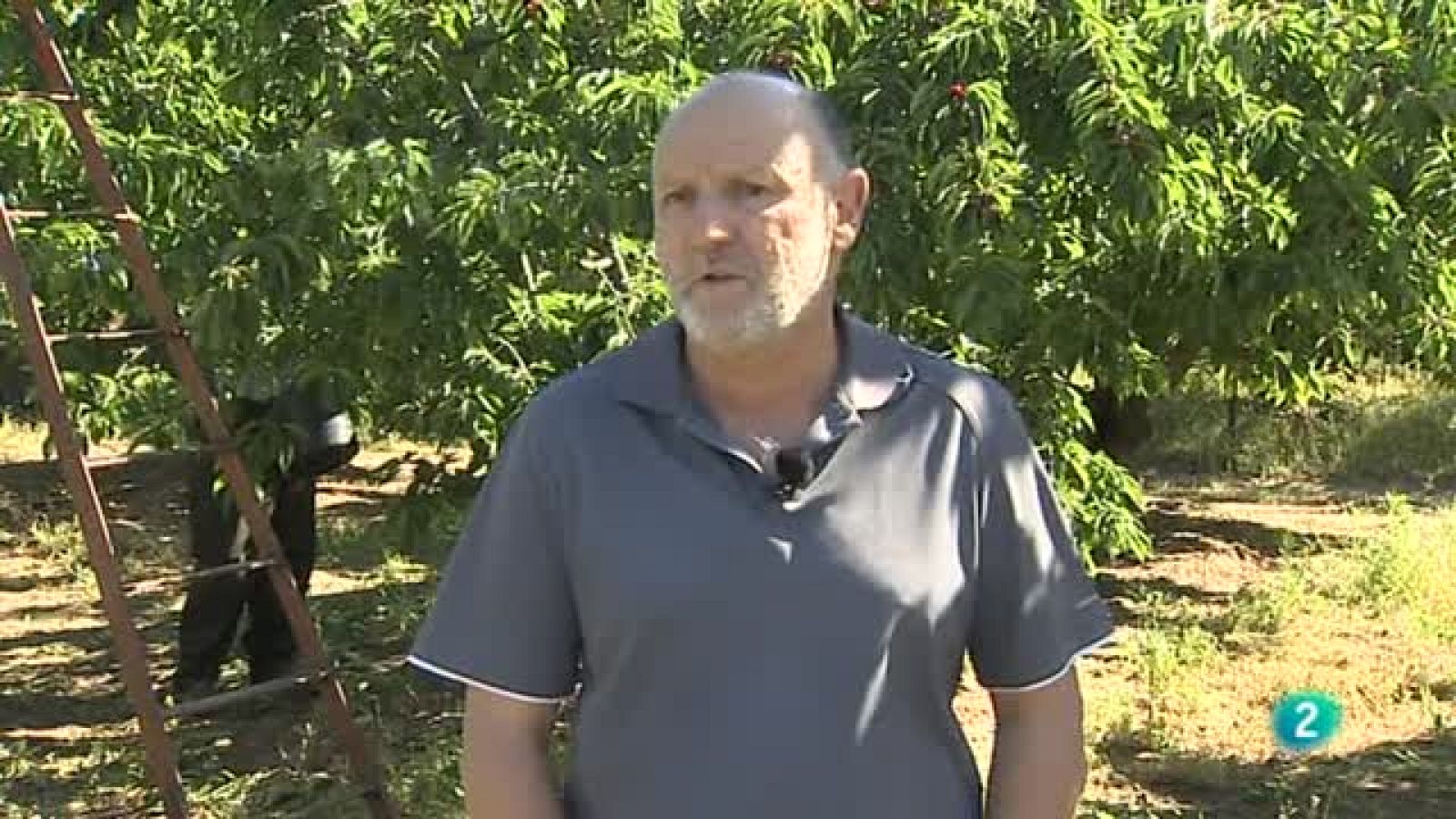 Agrsofera - Con mucho gusto - Tiempo de cerezas