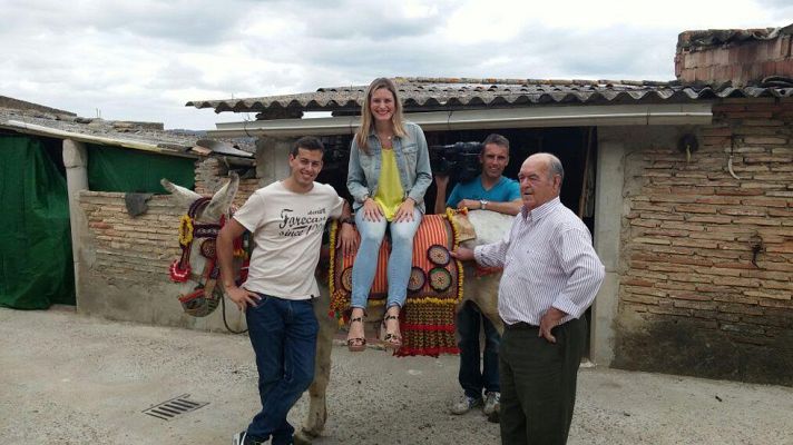 Aquí la Tierra - El sastre de los burros