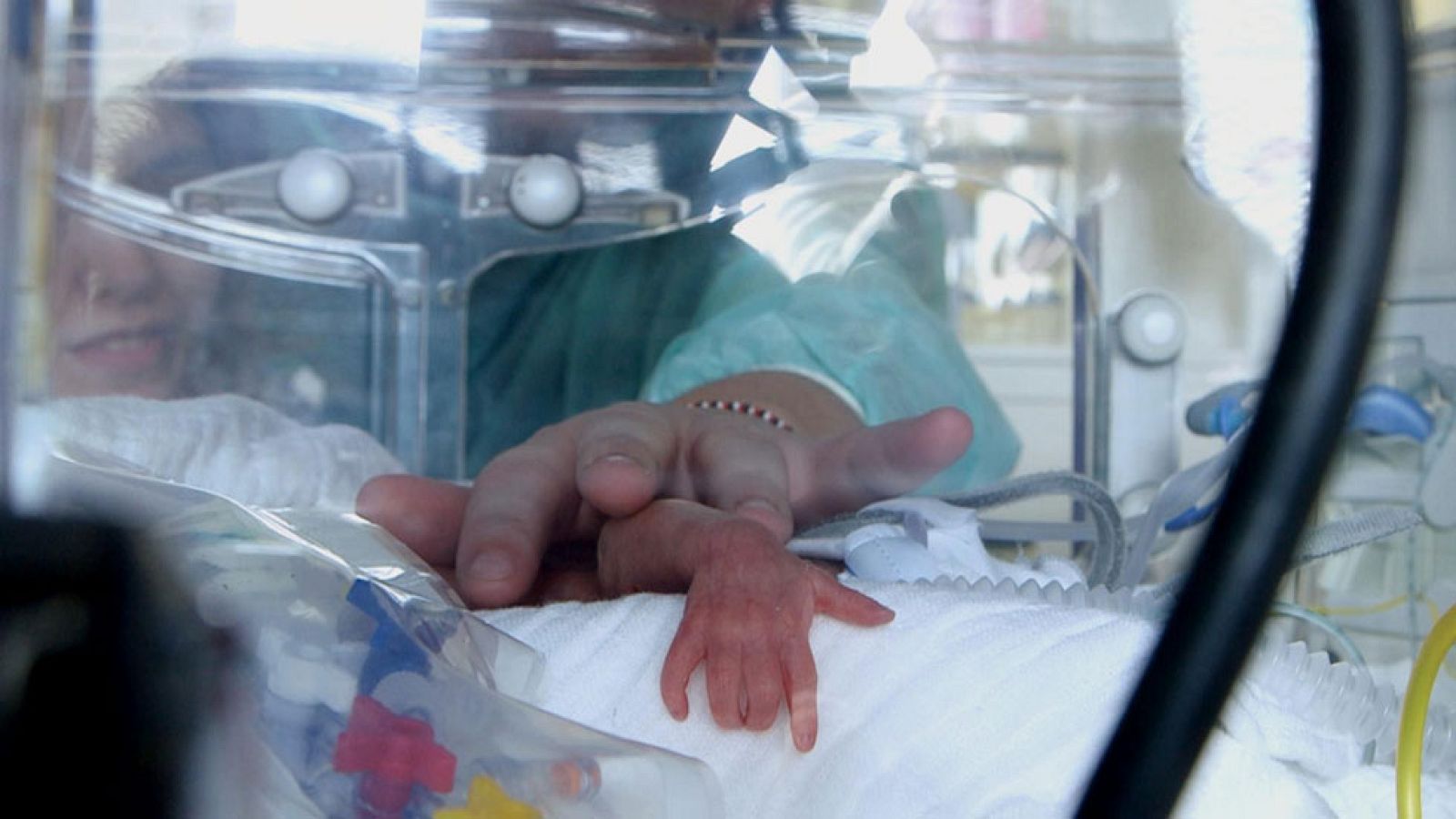 Documentos TV - 700 gramos - Avance - Documentos TV | Ver