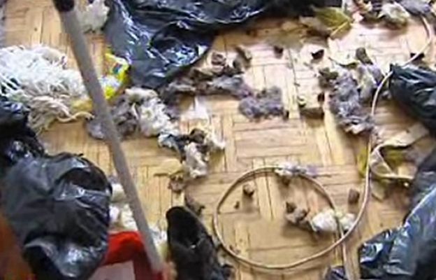 España Directo - Sorpresa de inquilino