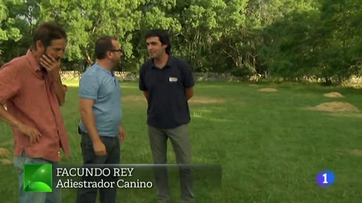 Aquí la Tierra - Lucky, una estrella de cine ¡perruna!