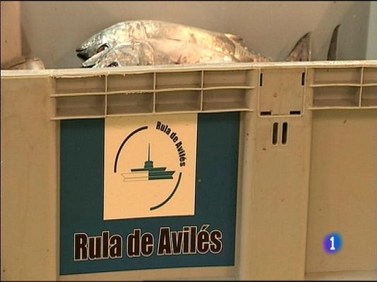 Panorama Regional - Panorama Regional 2 - 11/06/15