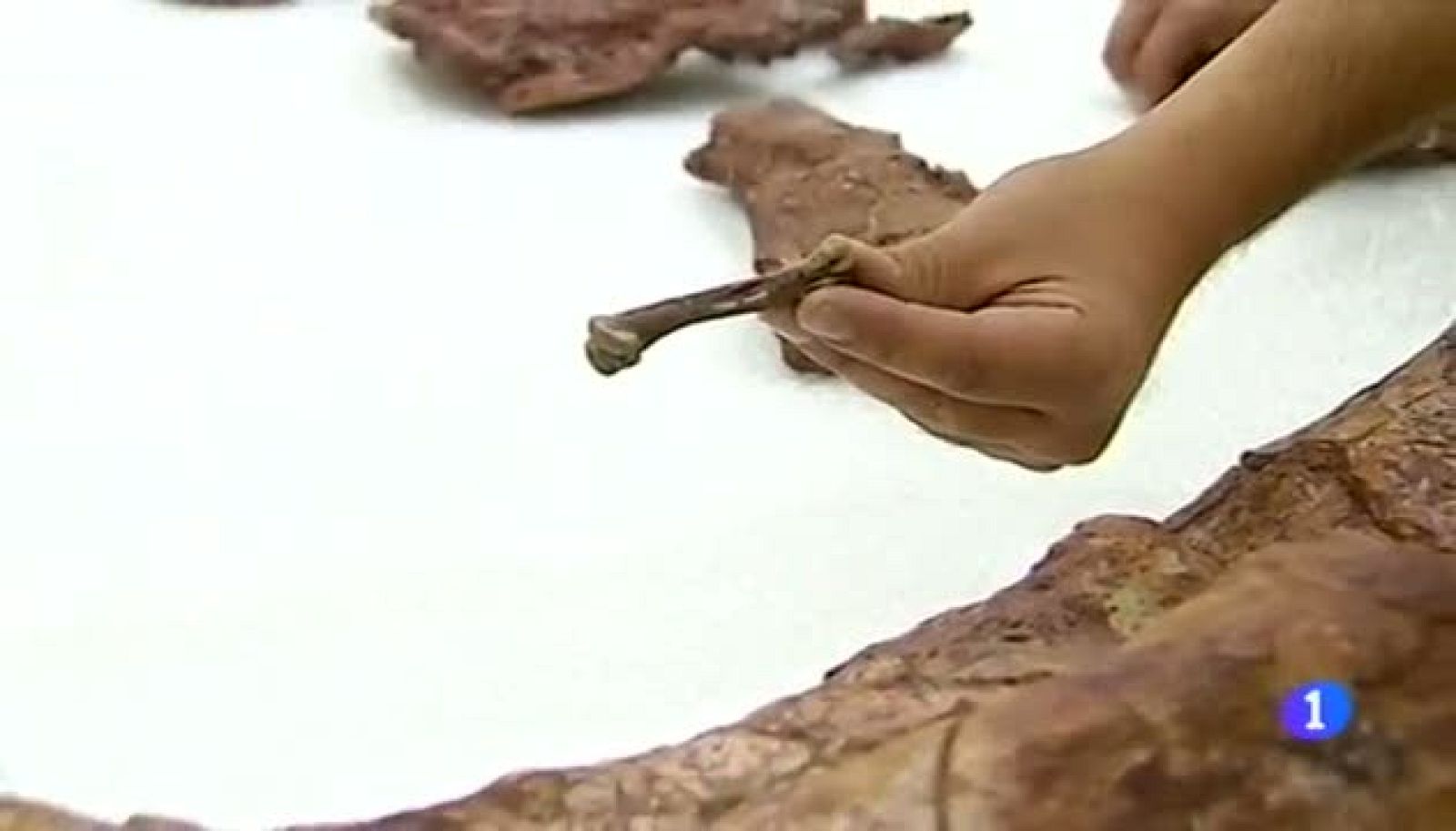 Noticias Aragón 2-11/06/2015