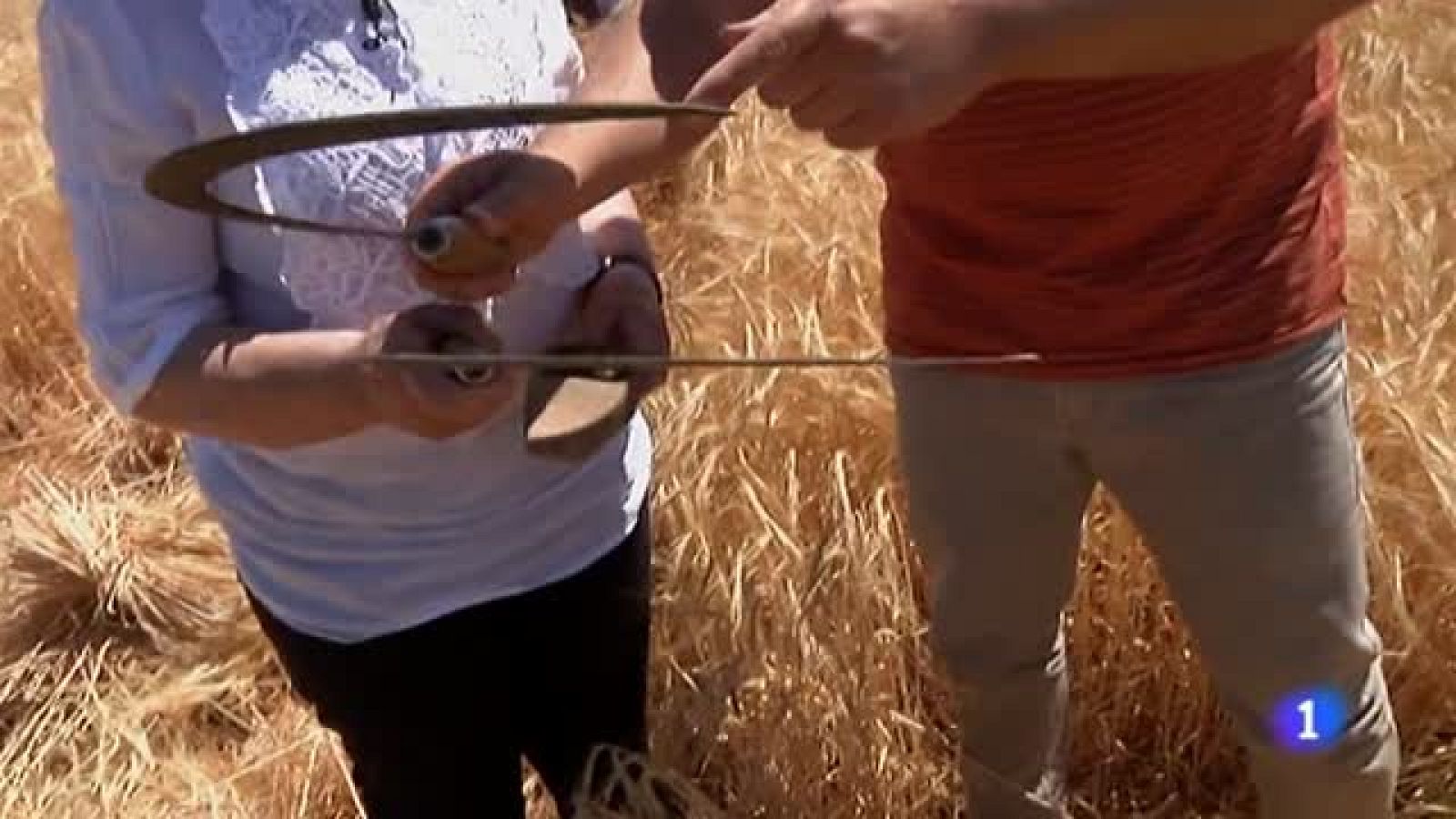 Clase de aperos y labranza con segadores