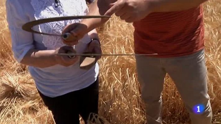 Aquí la Tierra - Clase de aperos y labranza con segadores