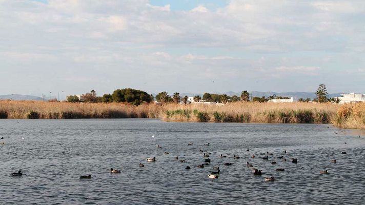 El tiempo - Intervalos de viento fuerte en el litoral almeriense
