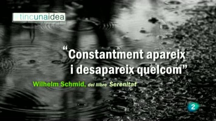 Tinc una idea - TUI -  "Constantment apareix i desapareix quelcom"