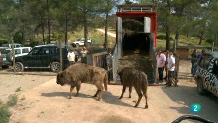 Agrosfera - Benagéber, Valencia
