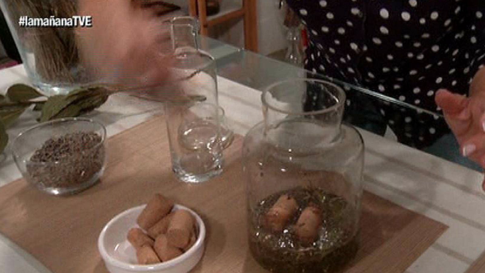 Los consejos de Maxi: Eliminar polillas y cucarachas