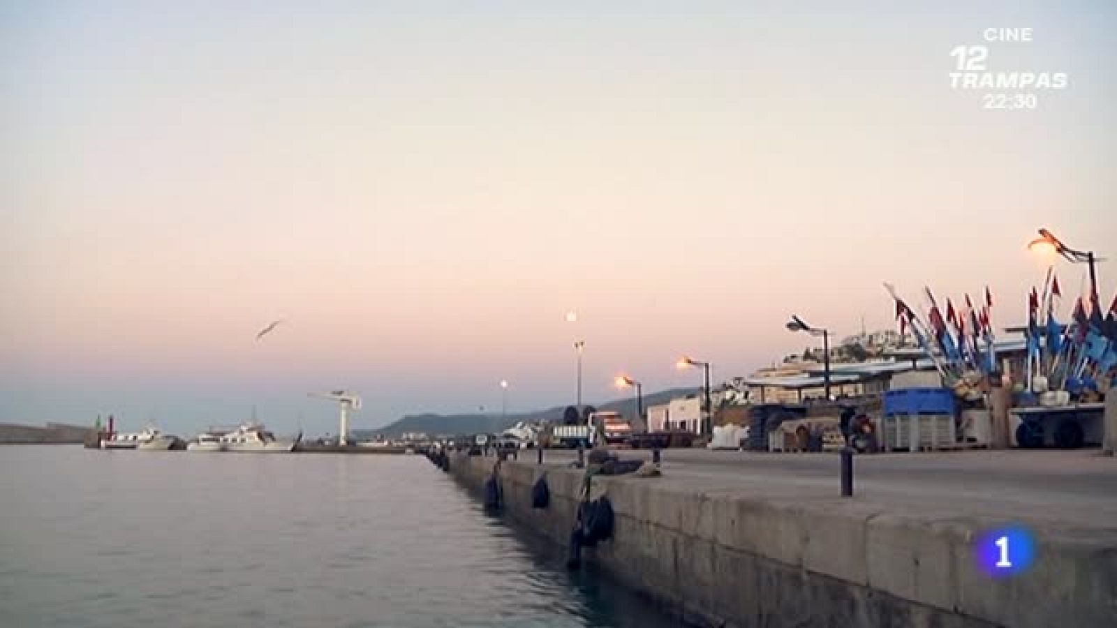 Pescando caracoles marinos