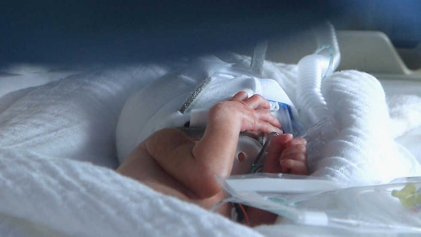 Documentos TV - 700 gramos - ver ahora