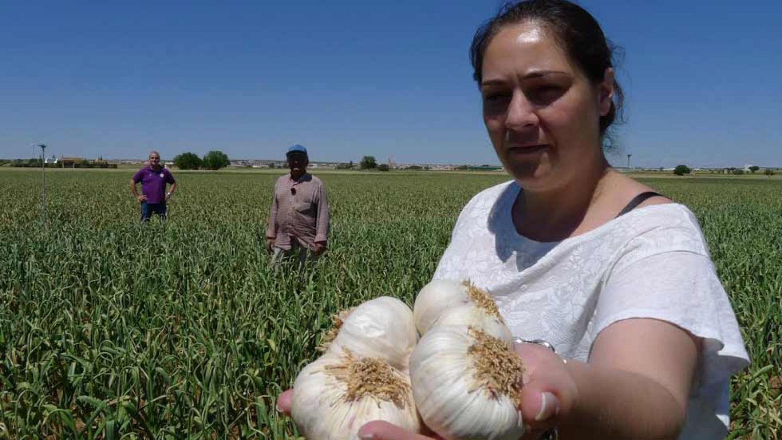 Al rico ajo morado de las Pedroñeras