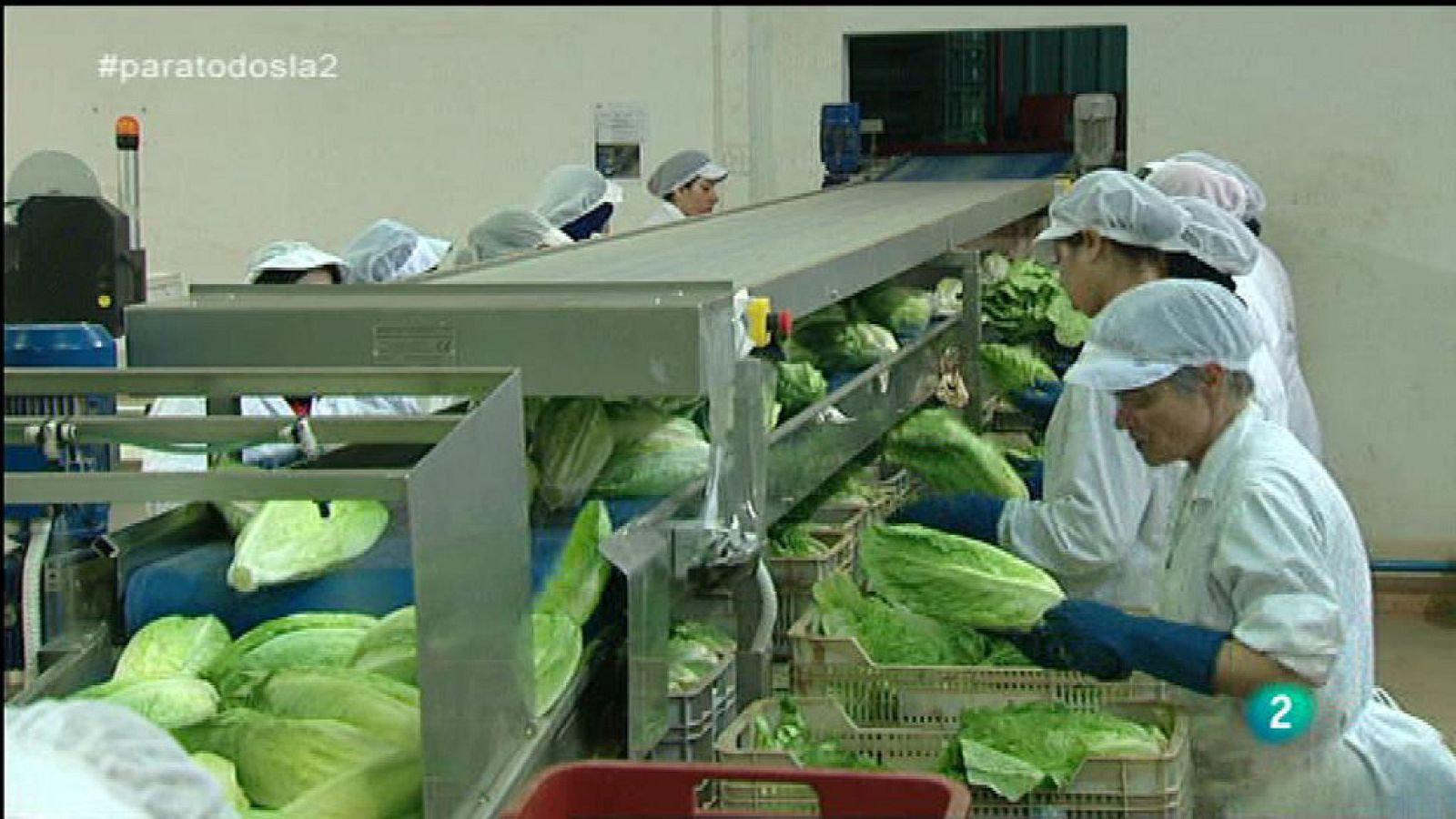 Para Todos La 2 - Vídeo - La lechuga