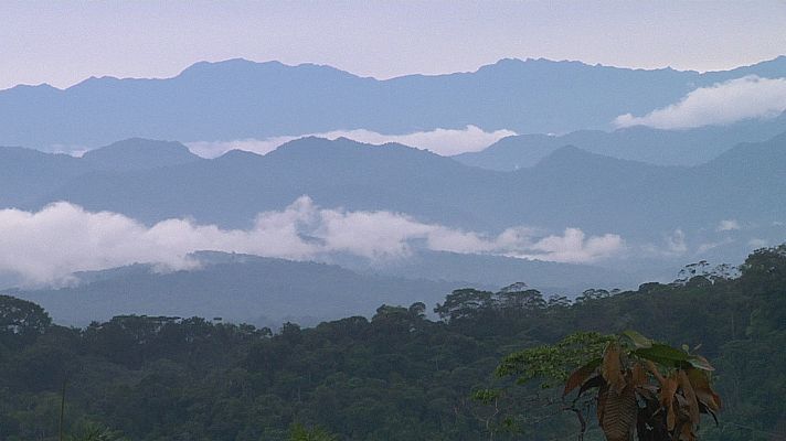 Fronteras al límite - Refugiados colombianos