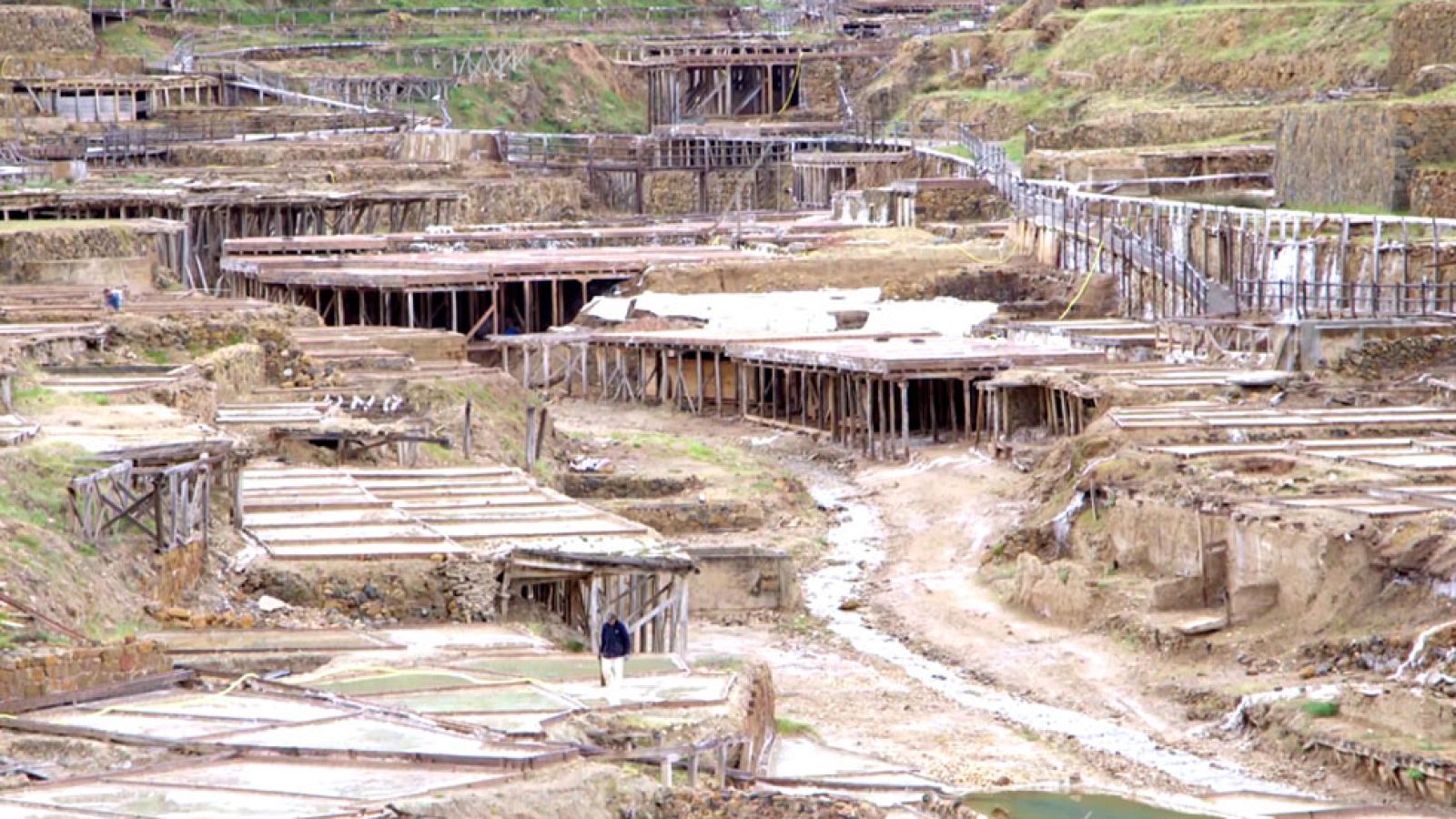 El apasionante universo de la sal