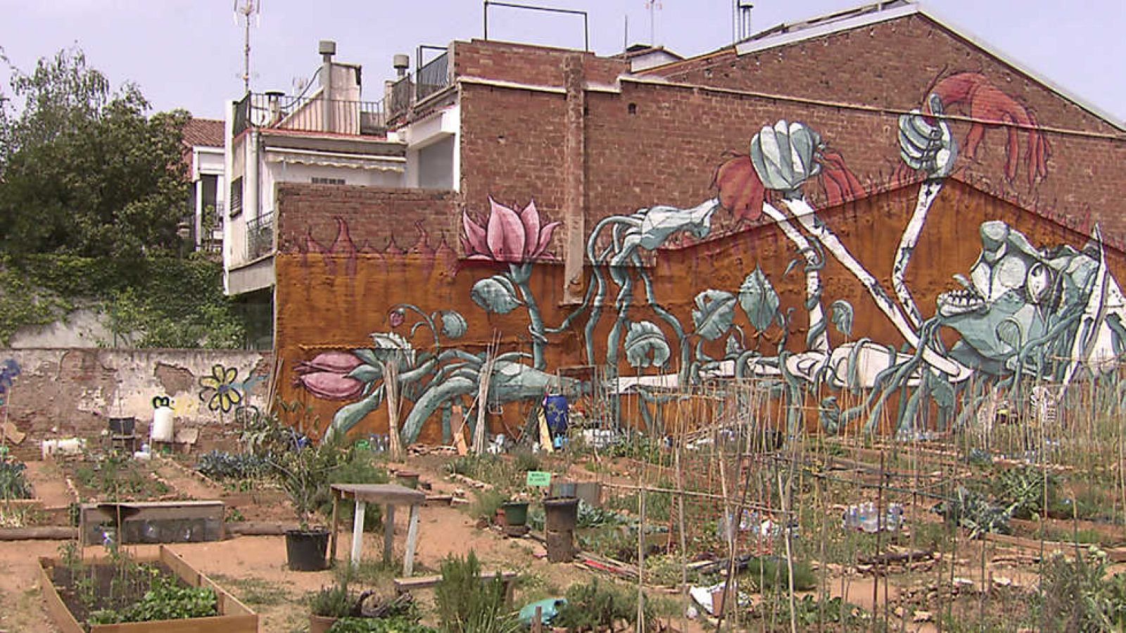 El escarabajo verde - Arad, arad, vecinos - Ver ahora