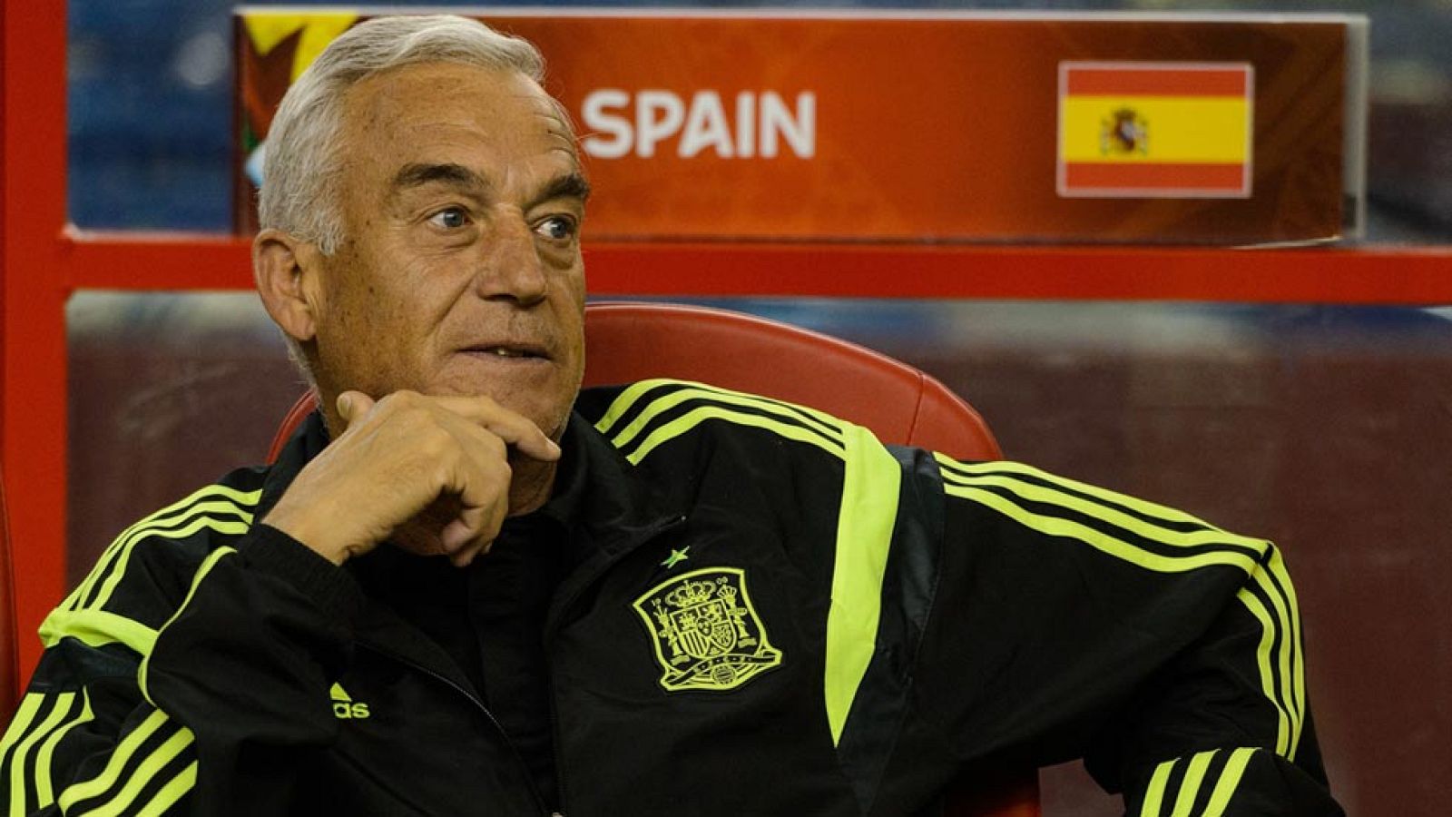 Ignacio Quereda: "No voy a dimitir" | Ver