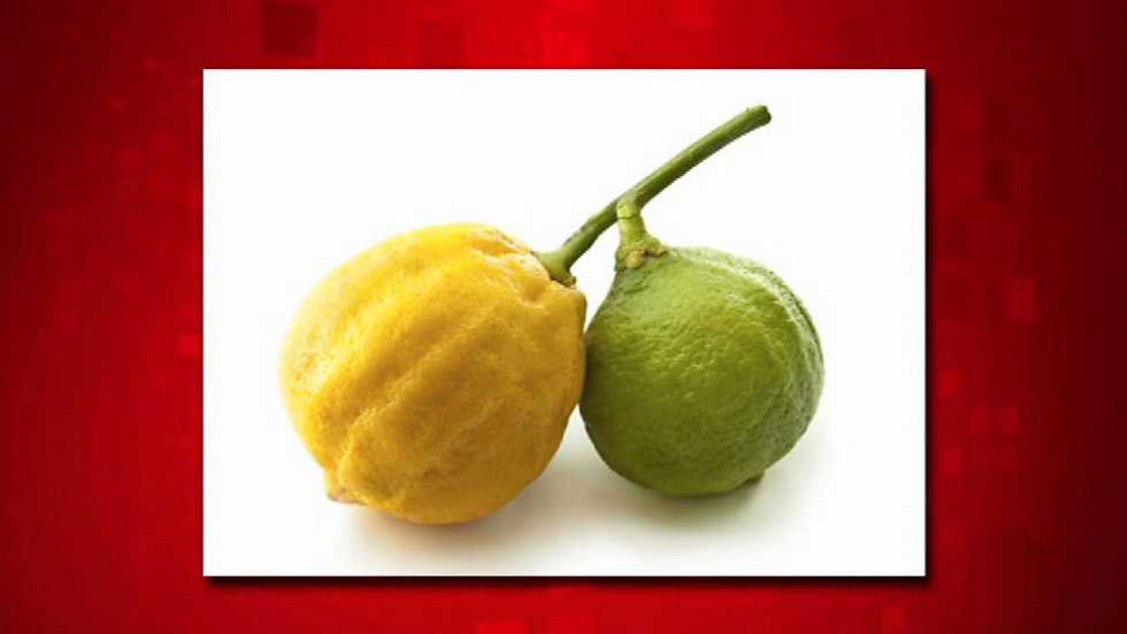 Saber y ganar. Edición Fin de semana - 21/06/15 - Ver ahora