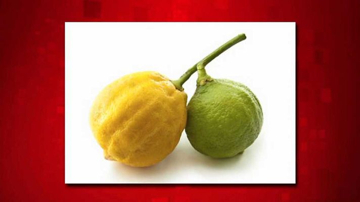 Saber y ganar - Saber y ganar. Edición Fin de semana - 21/06/15