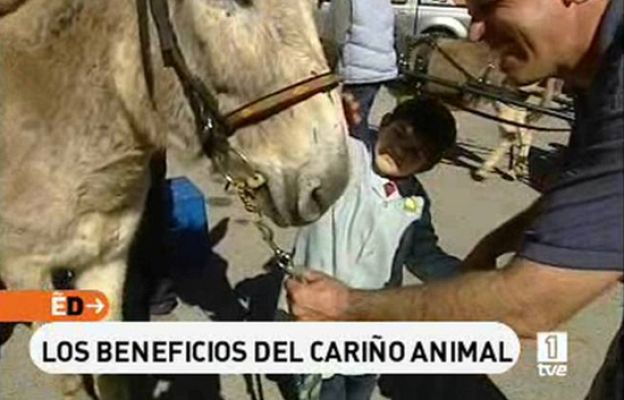 España Directo - Los beneficios del cariño animal