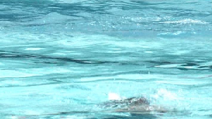 España Directo - Fallece un menor en un parque acuático