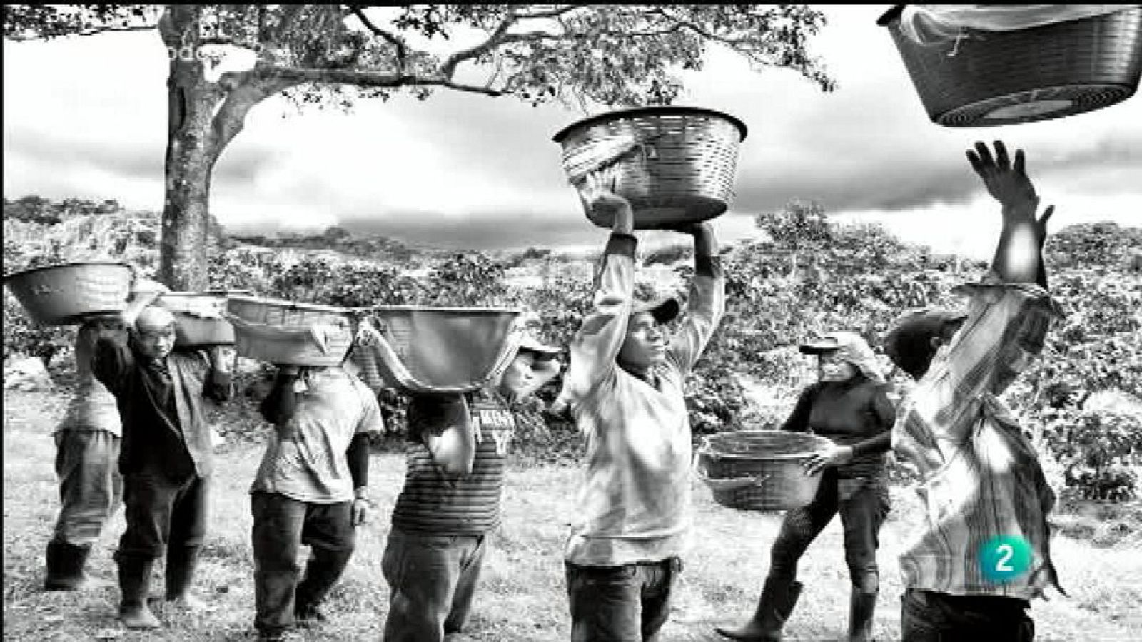 Para Todos La 2 - Vídeo - El café